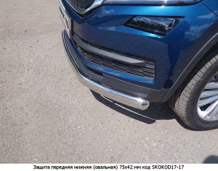Защита передняя нижняя овальная 75х42 мм Skoda Kodiaq (2017-2021) SKOKOD17-17