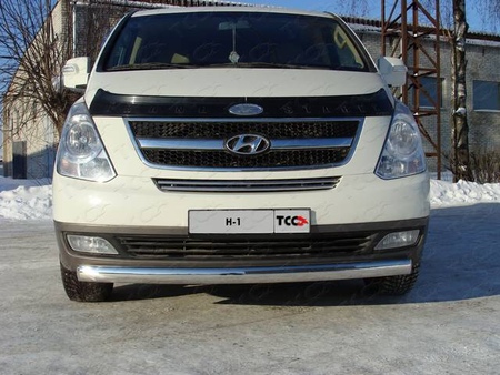 Защита передняя нижняя 75х42 мм Hyundai H1 (2010-2018) HYUNH110-01