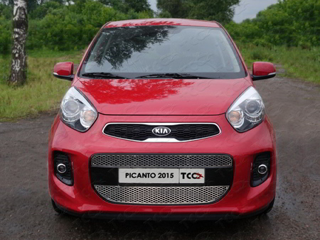 Решетка радиатора средняя (лист) Kia Picanto (2015-2023) KIAPIC15-01
