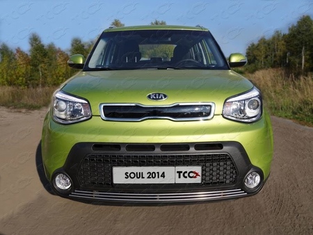 Решетка радиатора нижняя (12 мм) Kia Soul (2014-2016) KIASOUL14-06