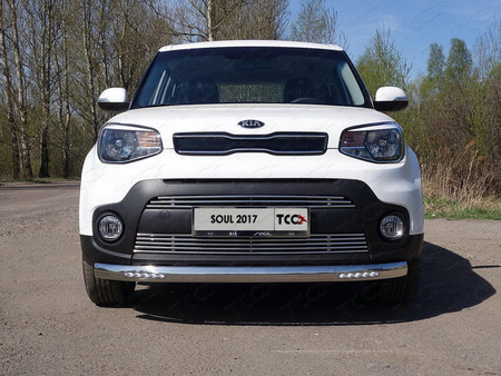 Защита передняя (овальная с ДХО) 75х42 мм Kia Soul (2017-2019)	  KIASOUL17-16