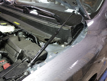 Амортизатор капота (упор) Nissan Pathfinder (2014-2017) NISPAT14-21Y