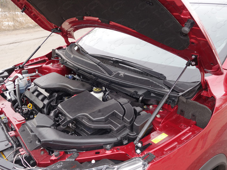 Амортизатор капота (упор) Nissan Qashqai (2014-2015) NISQASH14-19Y