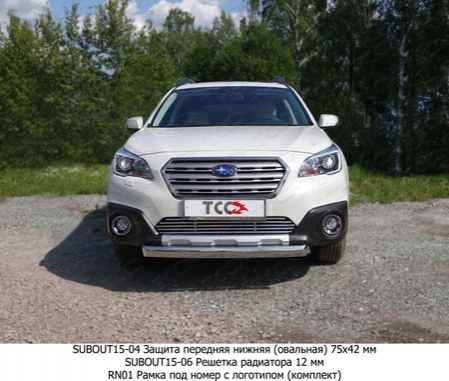 Защита передняя нижняя овальная 75х42 мм Subaru Outback (2014-2019) SUBOUT15-04