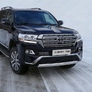 Защита передняя нижняя (овальная короткая) 75х42 мм Toyota Land Cruiser 200 EXECUTIVE (2016-2019) 