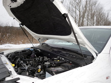 Амортизатор капота (упор) Volkswagen Amarok (2016-2023) VWAMAR17-08Y