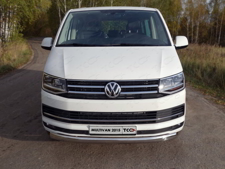 Защита передняя нижняя (овальная) 75х42 мм Volkswagen Multivan (2015-2020) VWMULT15-04