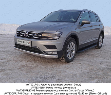 Защита овальная длинная 75х42 мм Volkswagen Tiguan (2017-2020) VWTIGOFR17-48