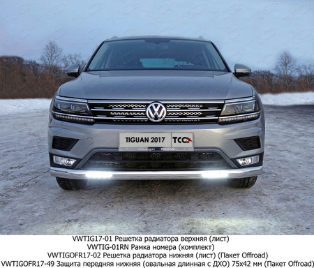 Защита овальная длинная с ДХО 75х42 мм Volkswagen Tiguan (2017-2020) VWTIGOFR17-49