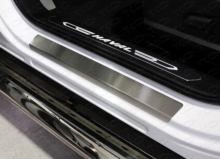 Накладки на пороги (лист шлифованный) Haval F7 (2019-2023) HAVF719-09