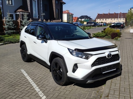 Дефлектор капота EGR Toyota RAV4 (2019-2025) 039601