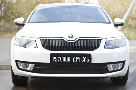 Зимняя защита радиатора Skoda Octavia A7 (2017-2020) ZRSO-049702