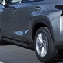 Пороги алюминиевые Black Lexus NX (2014-2019)