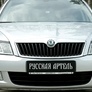 Реснички на передние фары Skoda Octavia (2009-2013)