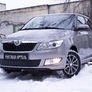 Зимняя защита радиатора Skoda Fabia (2010-2013)