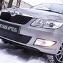 Зимняя защита радиатора Skoda Fabia (2010-2013)