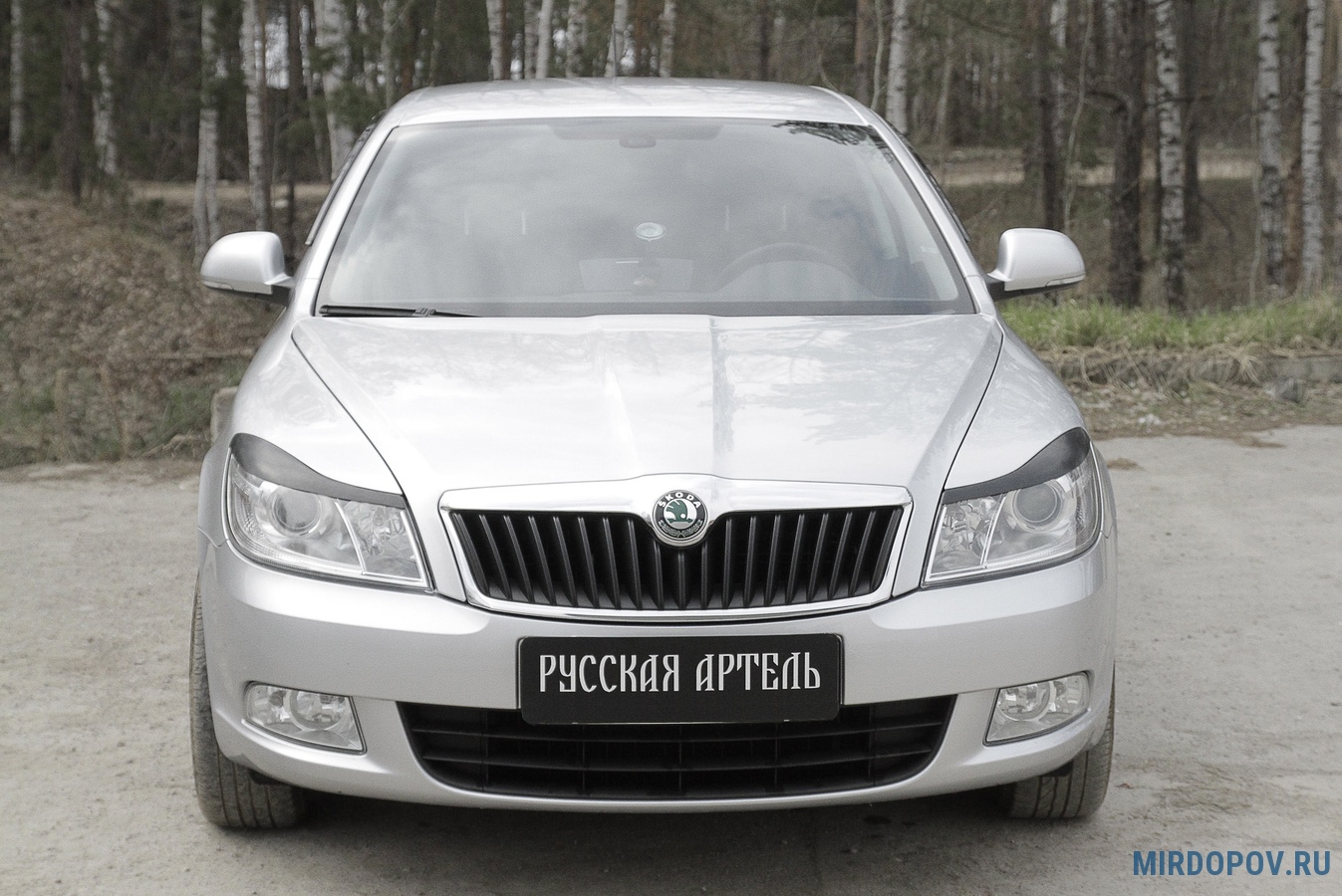 Реснички (накладки) на фары Skoda – Русская Артель