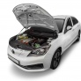 Амортизатор капота (упор) Автоупор для EVOLUTE i-PRO (2022-2026)