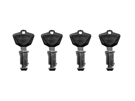 Набор личинок с ключами для багажной системы 843157