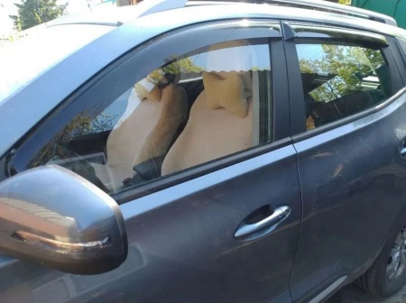 Дефлекторы боковых окон Cobra Tuning для Tenet T4 (2025-2026)  C21819