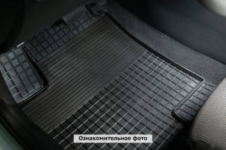 Коврики в салон резиновые сетка Seintex для Tank 700 (2024-2026) 320160