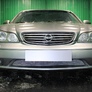 Защита радиатора Optimal Nissan Maxima (2000-2008)