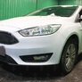 Защита радиатора Premium Ford Focus 3 (2015-2019)