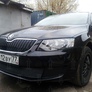 Защита радиатора Premium Skoda Octavia (2013-2017)