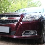 Защита радиатора Chevrolet Malibu (2012-2014)