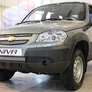 Защита радиатора Chevrolet Niva (2009-2019)