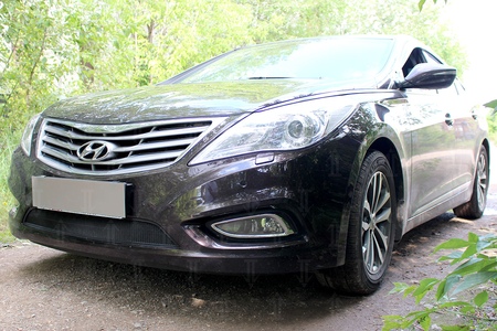 Защита радиатора Hyundai Grandeur (2011-2019) 