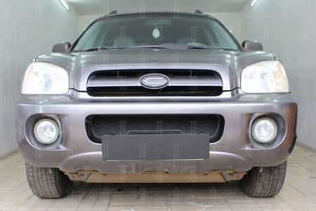 Защита радиатора Hyundai Santa Fe (2000-2006) 