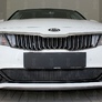 Защита радиатора Kia Optima (2018-2020)