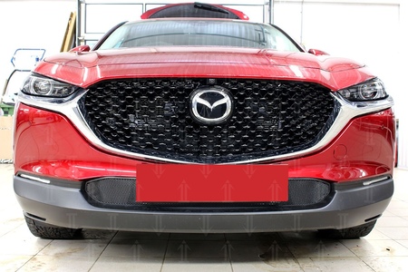 Защита радиатора Mazda CX-30 (2020-2024) 