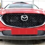 Защита радиатора Mazda CX-30 (2020-2024)