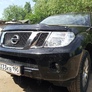 Защита радиатора Nissan Navara (2010-2019)