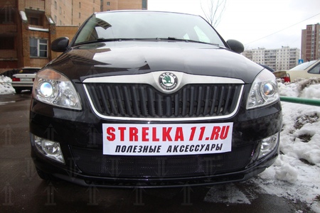 Защита радиатора Skoda Roomster (2010-2014) 