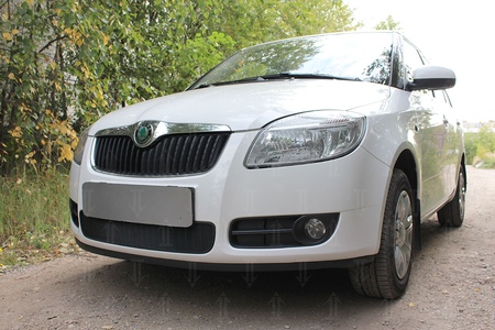 Защита радиатора Skoda Fabia (2007-2010) 