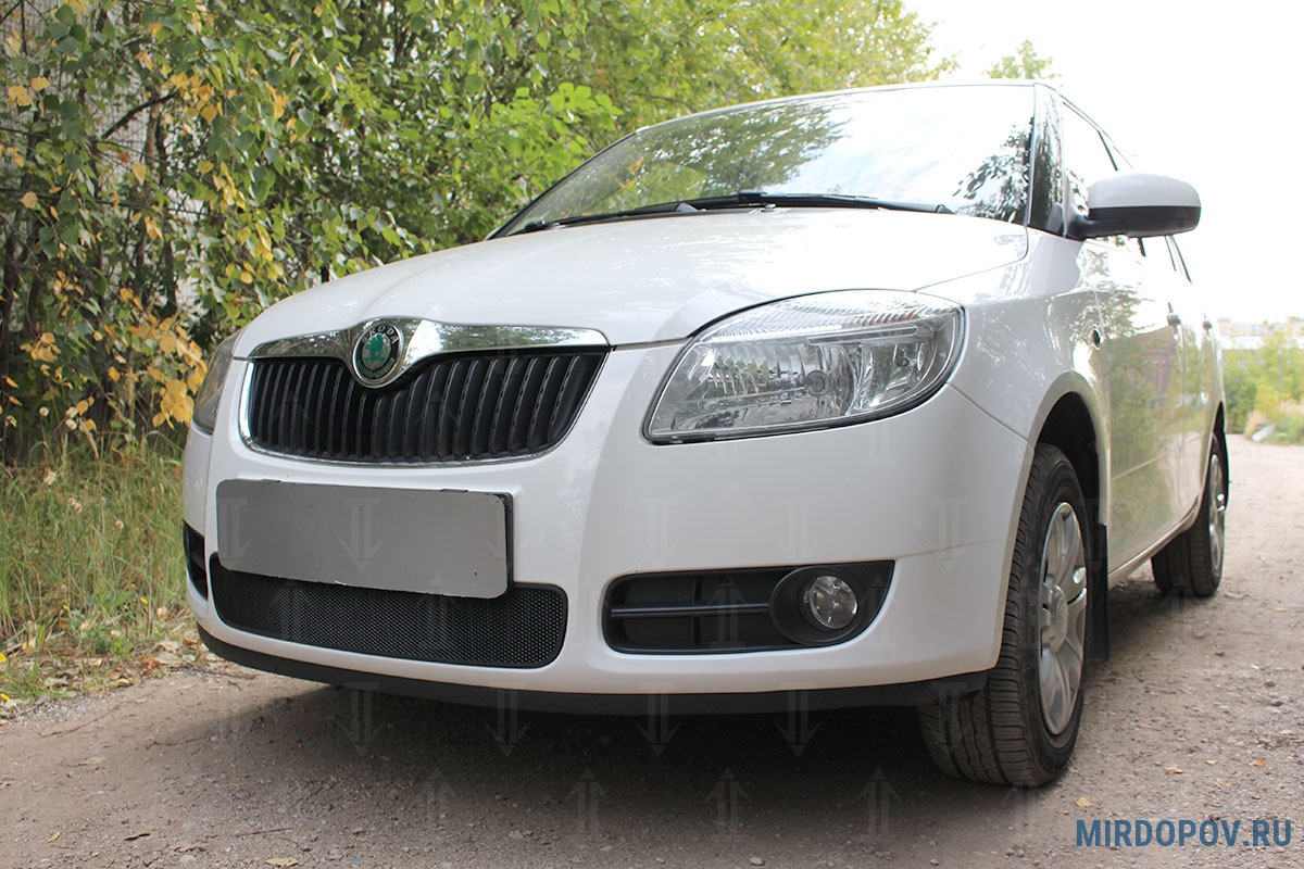 Защита радиатора Skoda Fabia (2007-2010) № - купить по лучшей цене на  mirdopov.ru