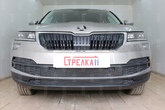 Защита радиатора Skoda Karoq (2020-2024)