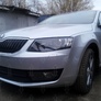 Защита радиатора Skoda Octavia (2013-2017)