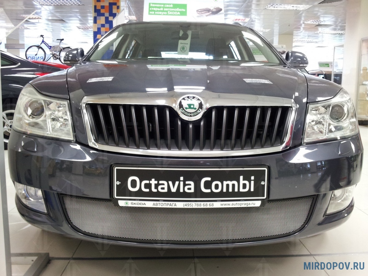 Защита радиатора Skoda Octavia (2008-2013) № - купить по лучшей цене на  mirdopov.ru