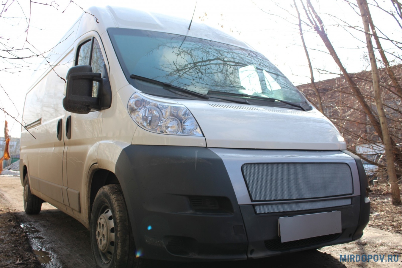 Защита радиатора хром нижняя Fiat Ducato (2012-2014) № FDUCIII.bot.chrome -  купить по лучшей цене на mirdopov.ru