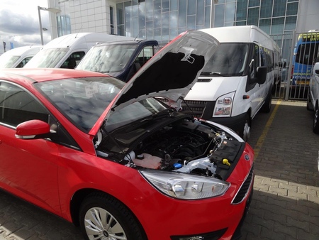 Амортизатор капота (упор) Ford Focus (2011-2019) KU-FD-FS03-00