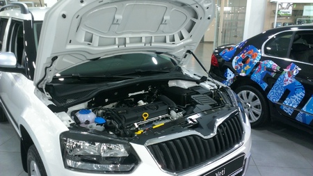 Амортизатор капота (упор) Skoda Yeti (2009-2018) KU-SK-YT00-01