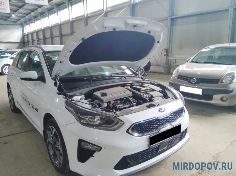 KIA CEED белый с черный капотом