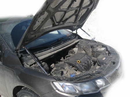Амортизатор капота (упор) Kia Cerato (2009-2013) KU-KI-CE02-00
