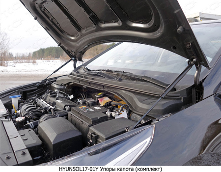Амортизатор капота (упор) Hyundai Solaris (2017-2024) HYUNSOL17-01Y