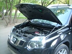 Амортизатор капота (упор) Nissan X-Trail (2007-2014)