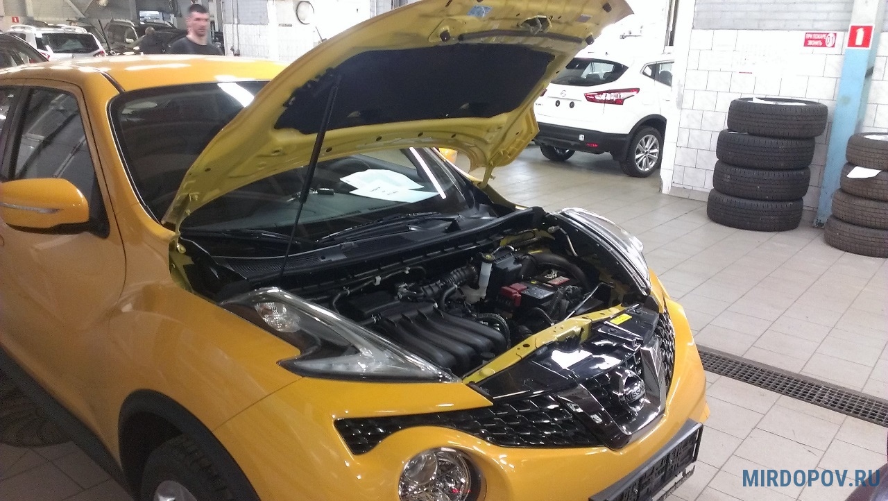 Амортизатор капота (упор) Nissan Juke (2010-2019) № KU-NI-JK00-00 - купить  по лучшей цене на mirdopov.ru